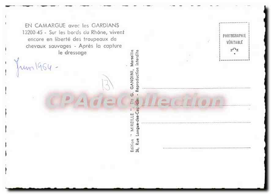 CPSM Camargue Avec Les Gardians — Verso