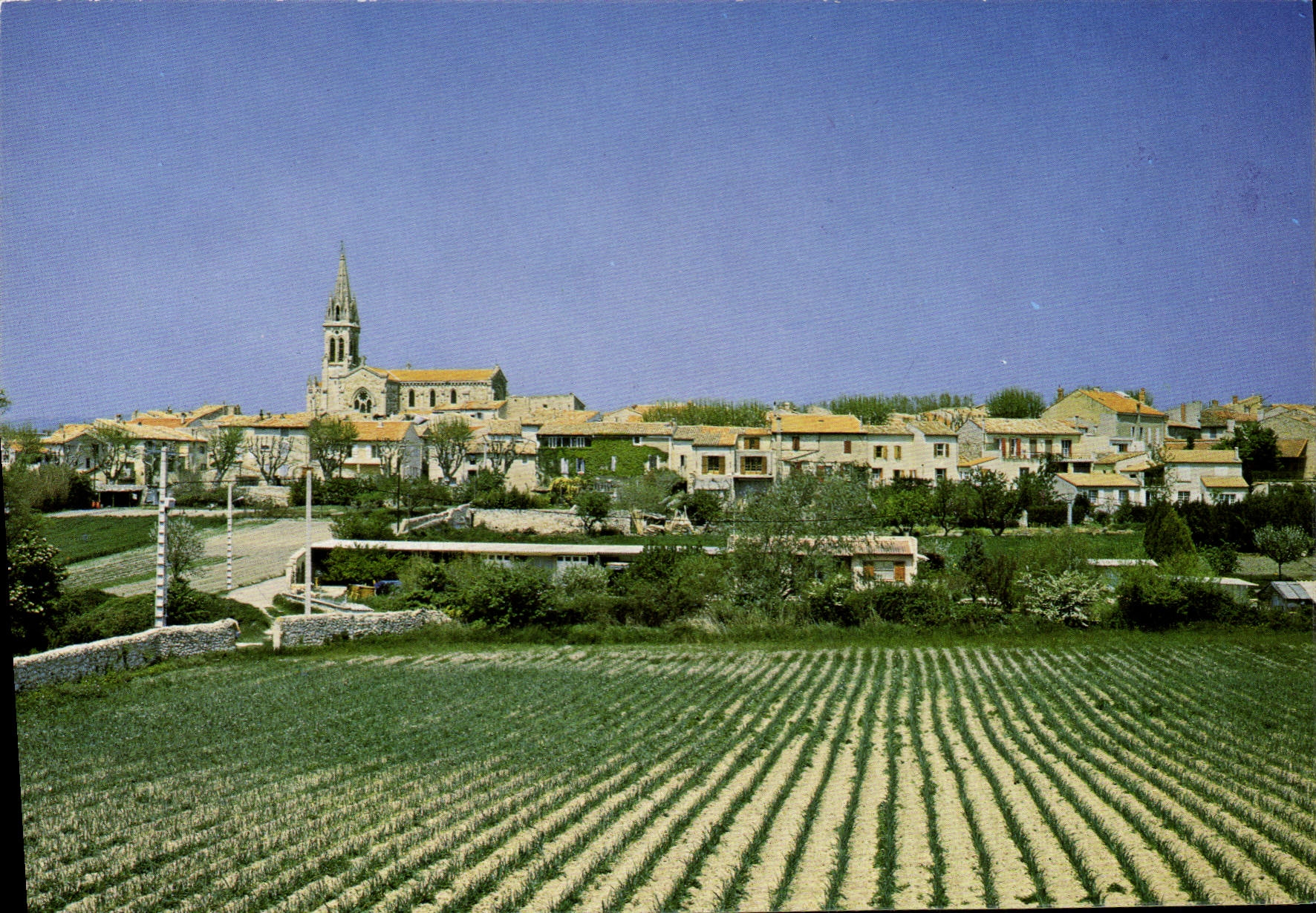 CPSM Saint Cannat Vue Generale