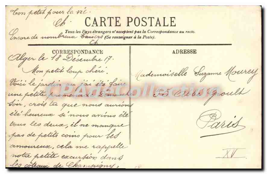 Alger — Jardin d'Essai — Yuccas et Palmiers — LL. — n°245 — Verso