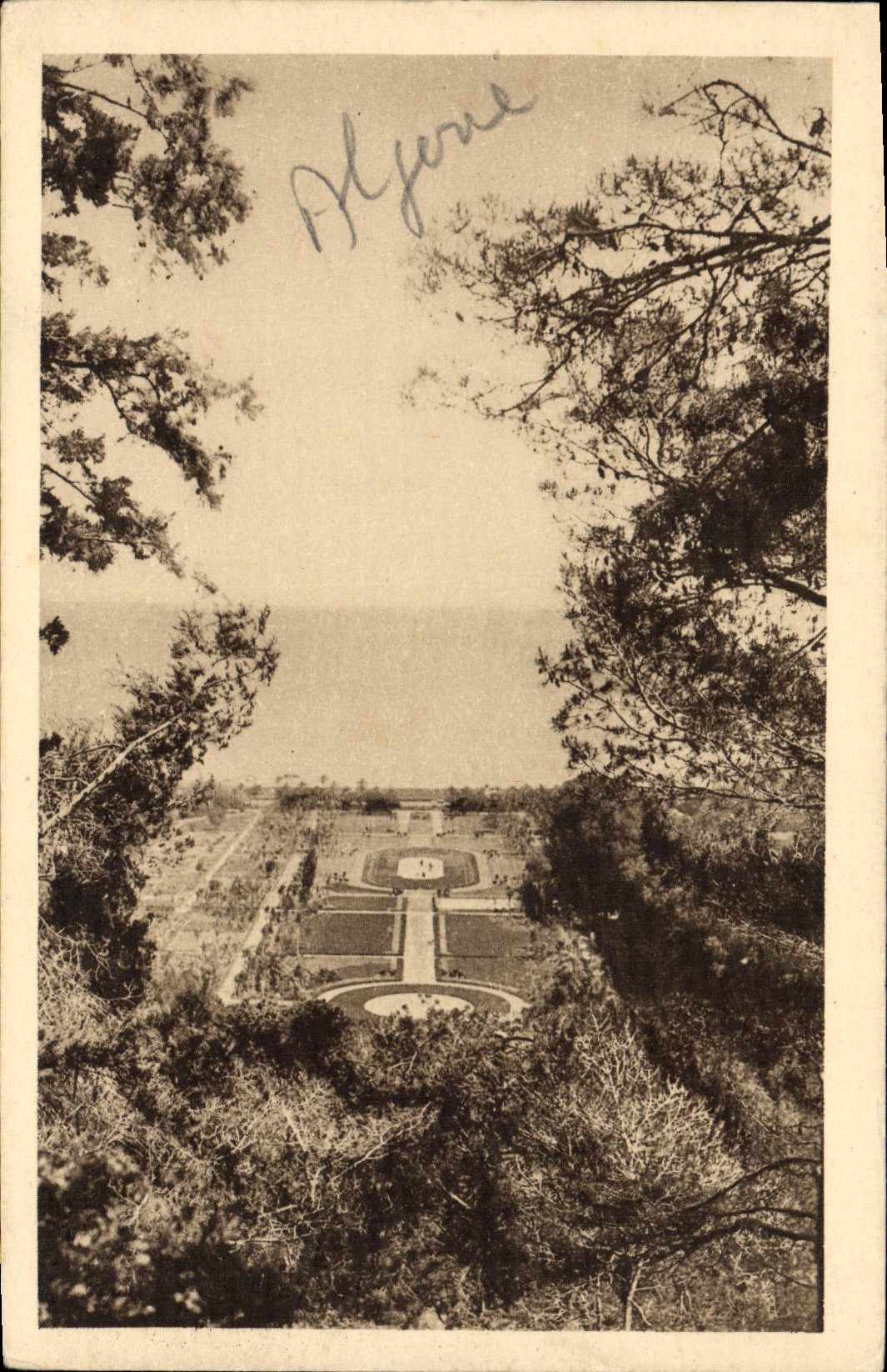 Jardin d'Essai - Le Grand Parterre — Algérie — éditeur SPÉGA, n° de série non visible