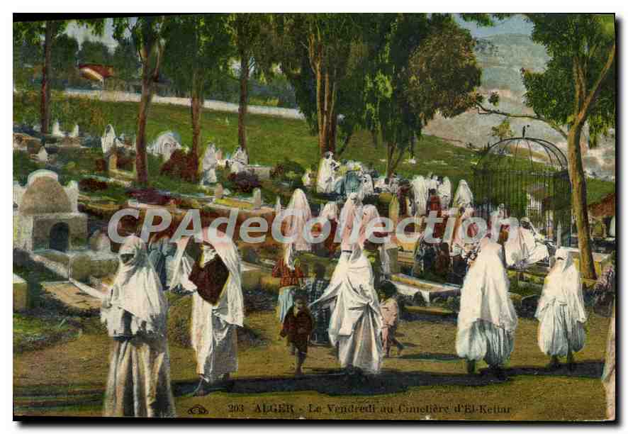 Alger - Le Vendredi au Cimetière d'El-Kellar — CPAdeCollection, n° 203