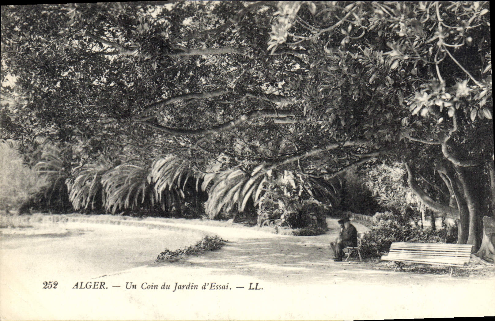 CPA Alger Un Coin Du Jardin D'Essai