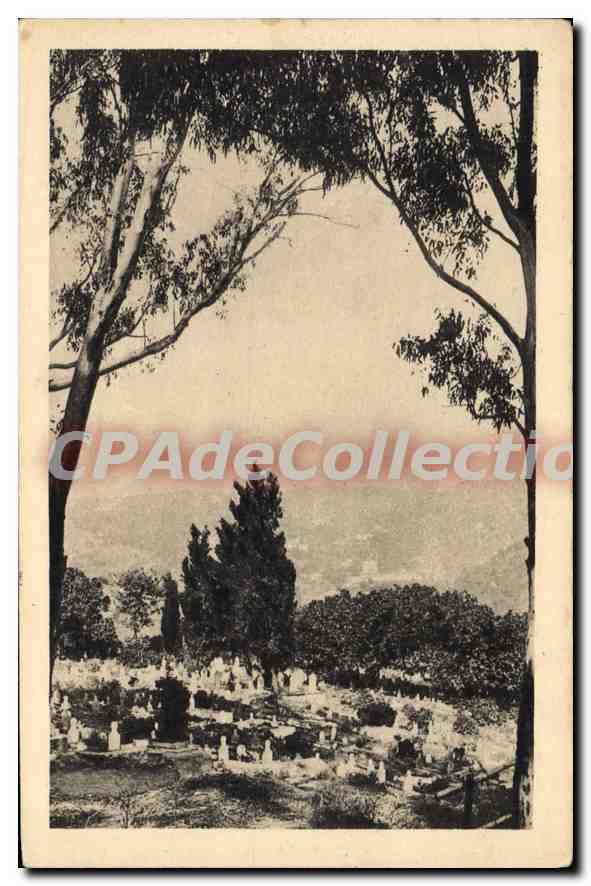 CPA Alger cimetiere indigène d'El-Kettar