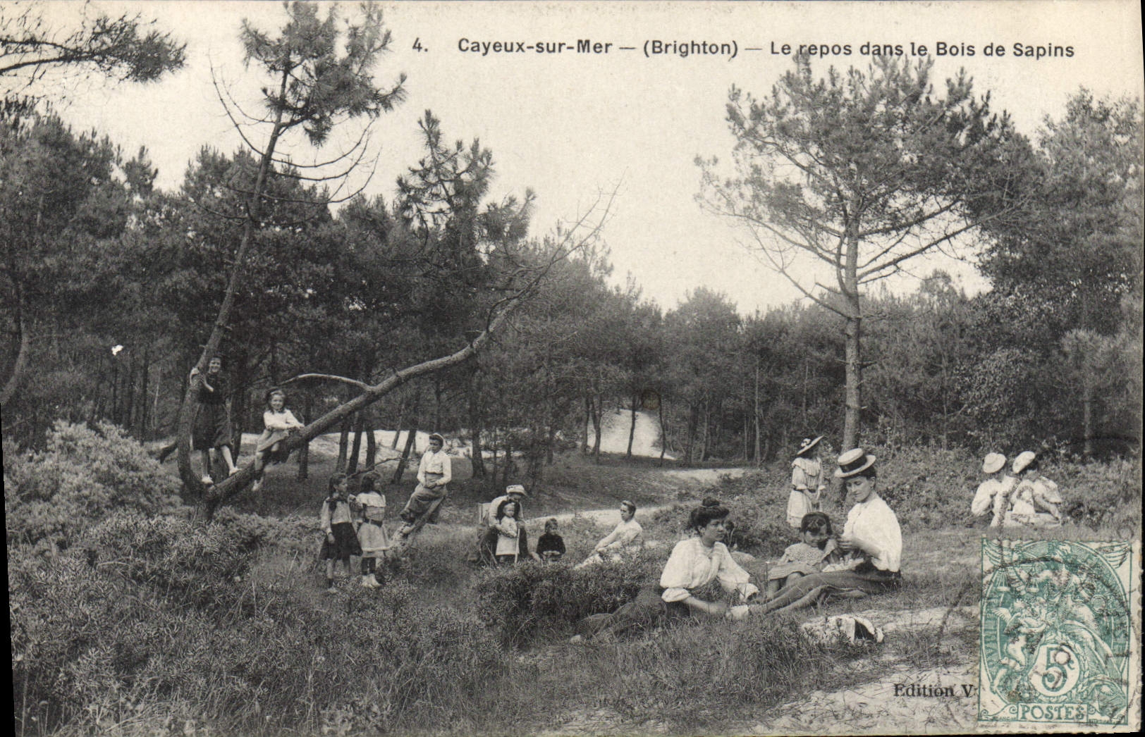 Cayeux-sur-Mer — (Brighton) — Le repos dans le Bois de Sapins — Édition V