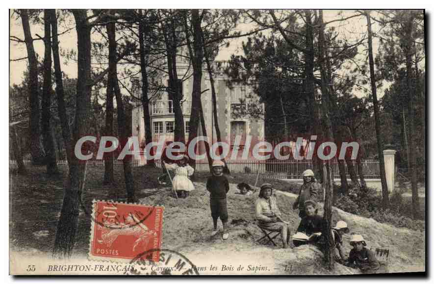 Cayaux — Dans les Bois de Sapins — Brighton-Français, n°55