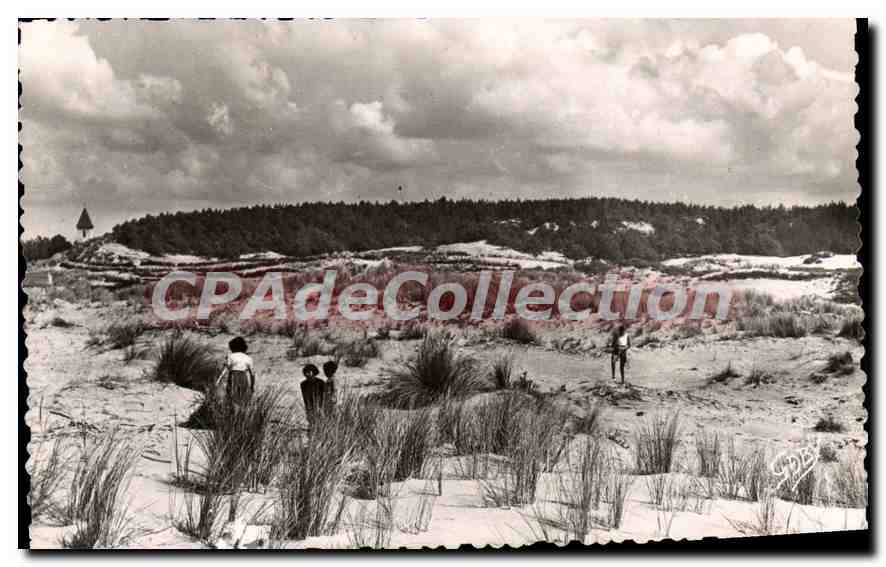 CPA Quend Plage Les Dunes Et Le Bois De Pins