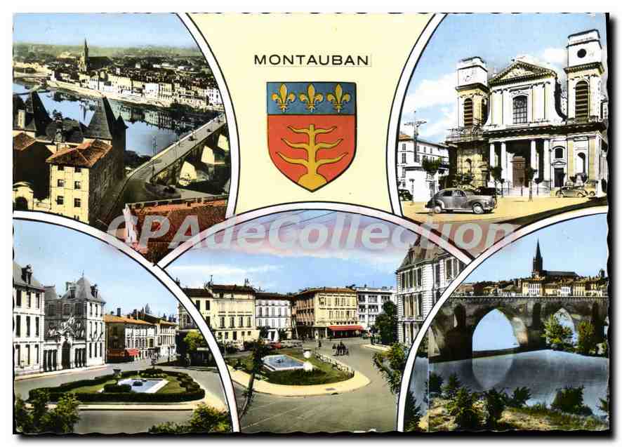 Montauban — vue générale — éditeur Romacolor
