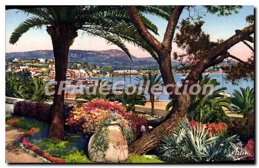 Vue Générale du Beau Rivage — Bandol — Cap — Adlin