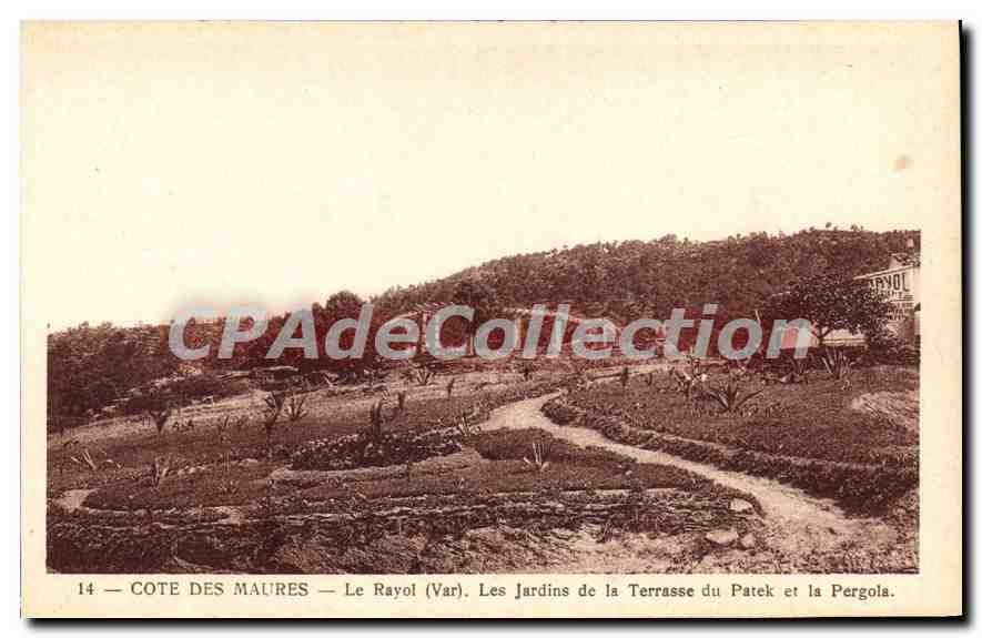 CPA Le Rayol Les Jardins De La Terrasse Du Patek Et La Pergola
