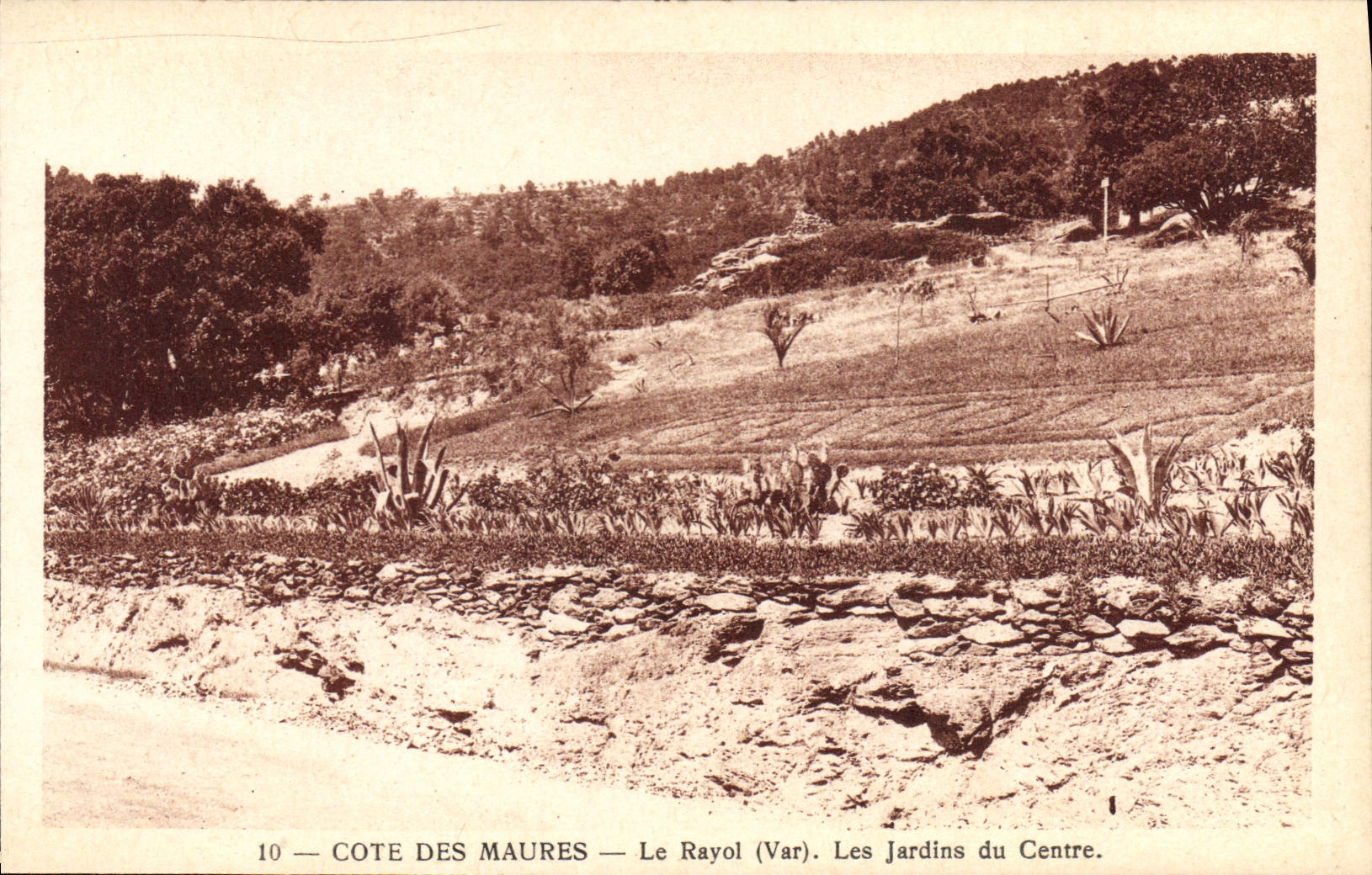 Côte des Maures — Le Rayol (Var). Les Jardins du Centre — A.D.L.A. Nice, n°10
