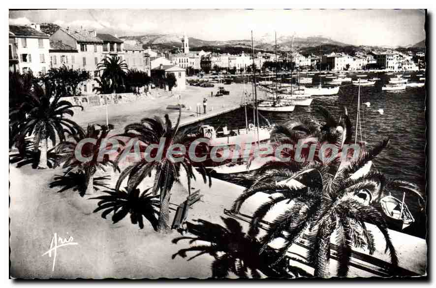 CPA Sanary Sur Mer Vue Generale