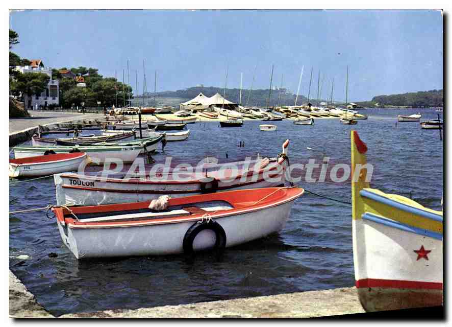 CPSM Le Brusc La Corniche La Club Des Yachts