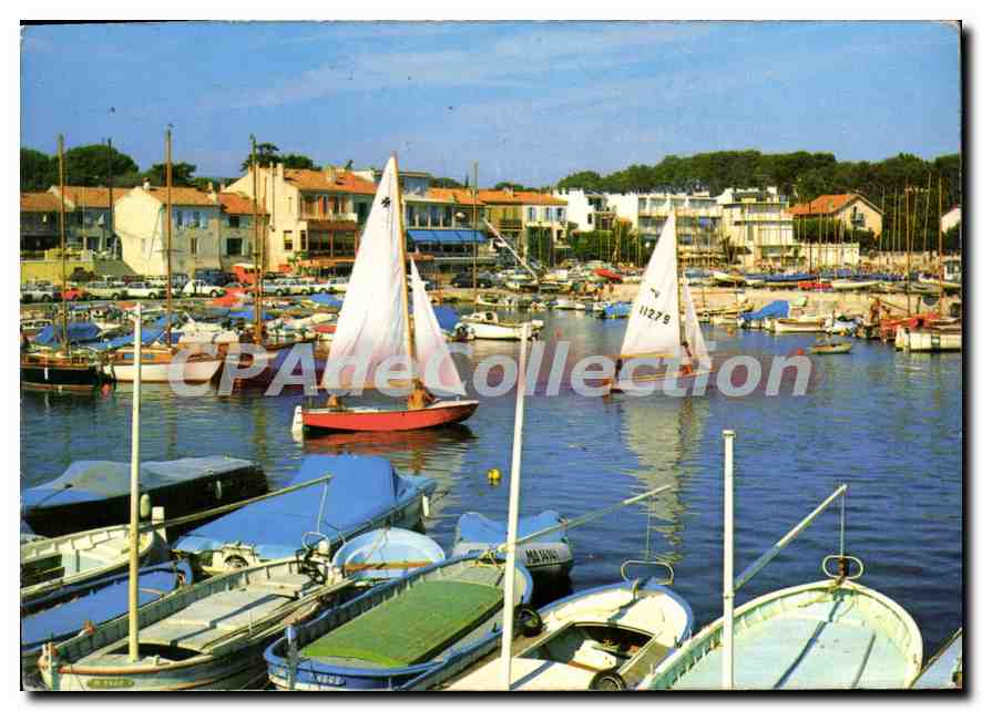 CPSM SAINT CYR Les Lecques Le port