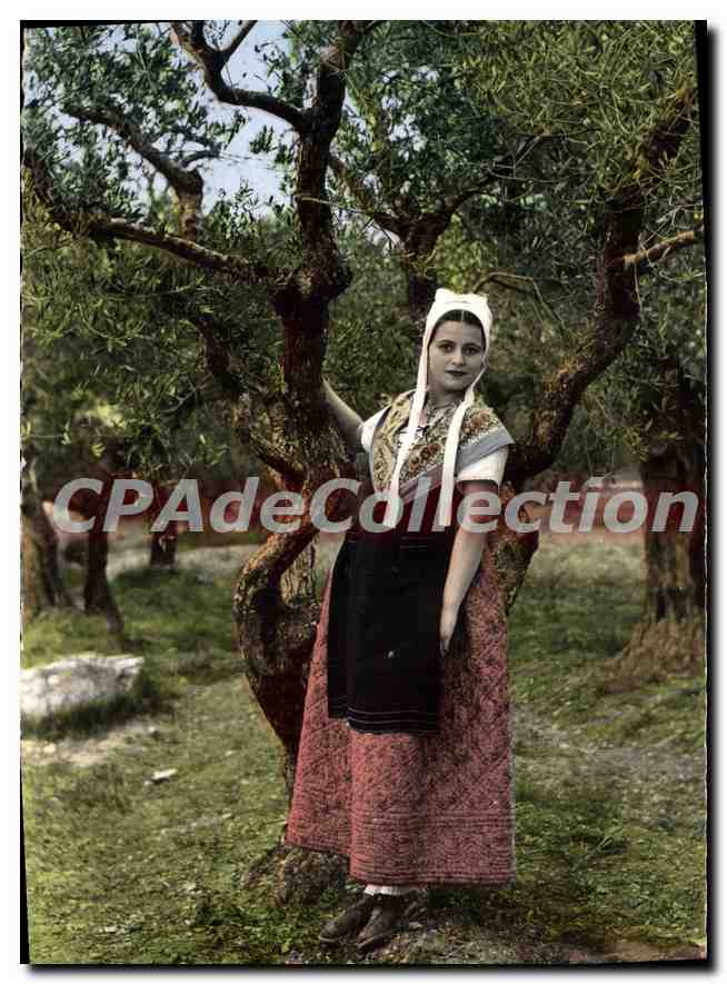 Provence - Jeune fille en costume de Comtadine au milieu des oliviers — Éditions S.F.P.T. n°89-34