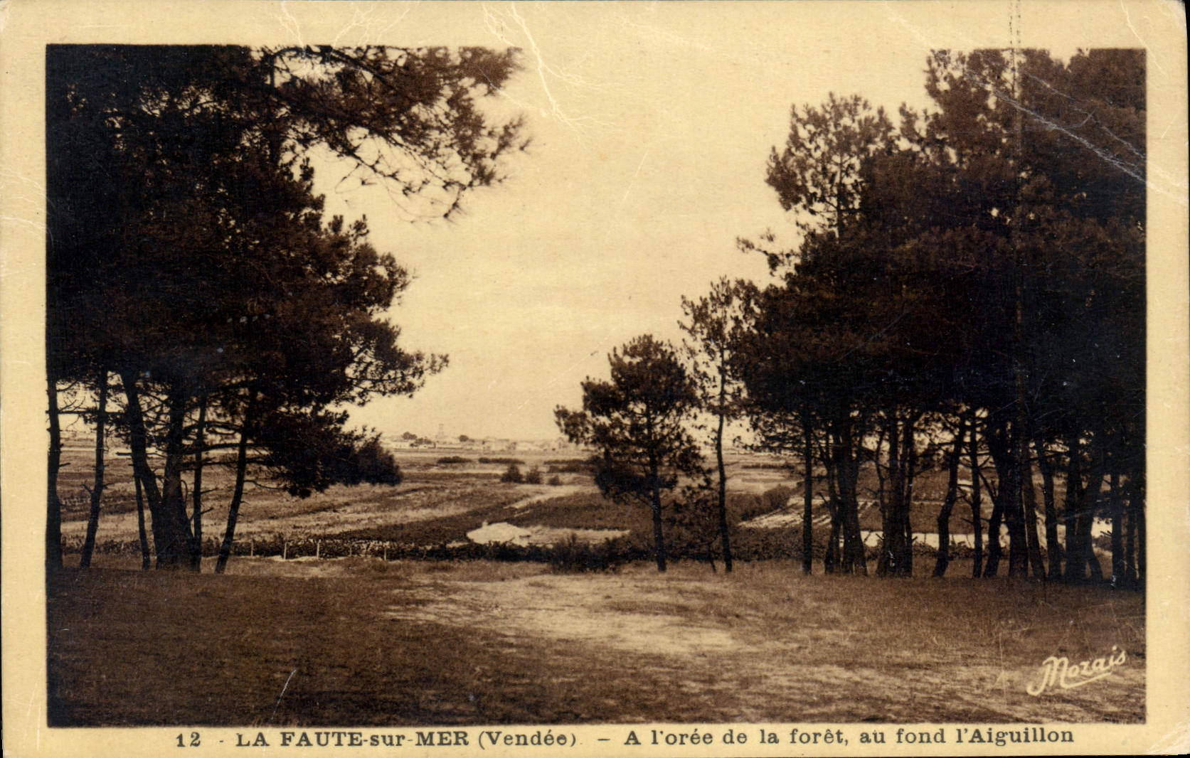LA FAUTE-sur-MER (Vendée) — Am Rand des Waldes, im Hintergrund der Aiguillon — Morais