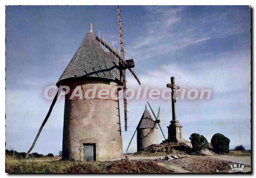 Le Mont des Alouettes — Vendeé — Éditions IRIS
