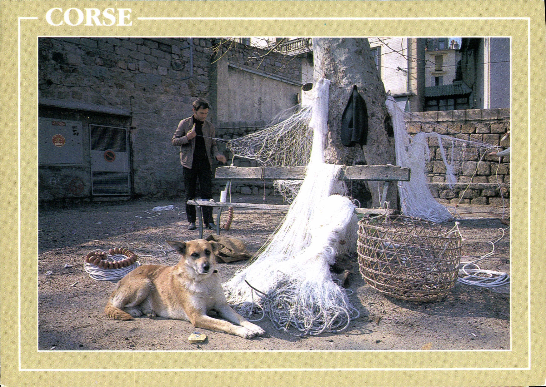 CPSM Charme Et Couleurs de la Corse filets chien