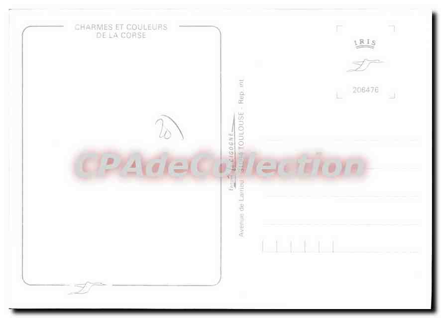 CPSM Charme Et Couleurs de la Corse filets chien — Verso