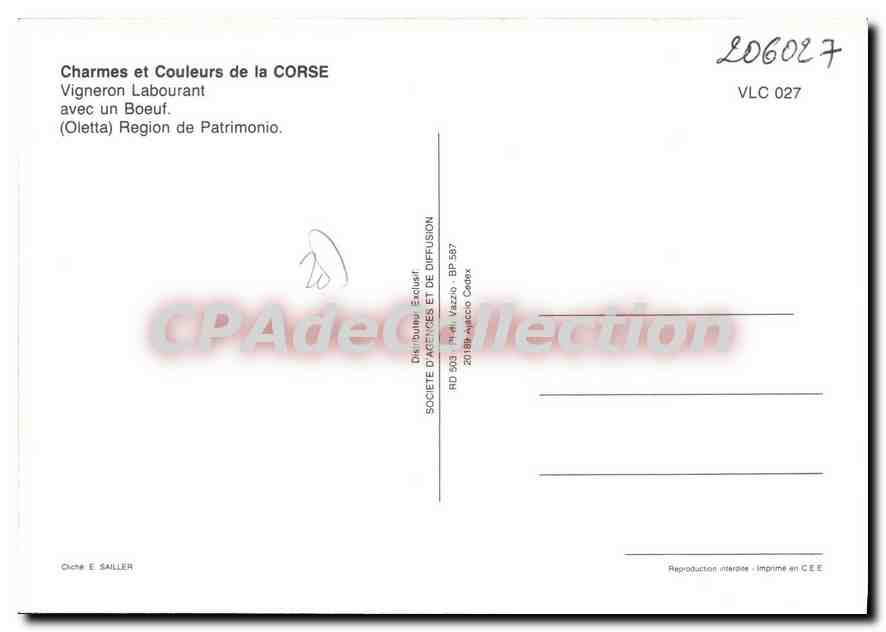 Vigneron Labourant avec un Bœuf — (Oletta) Région de Patrimonio — Société d'Annonces et de Diffusion — Verso