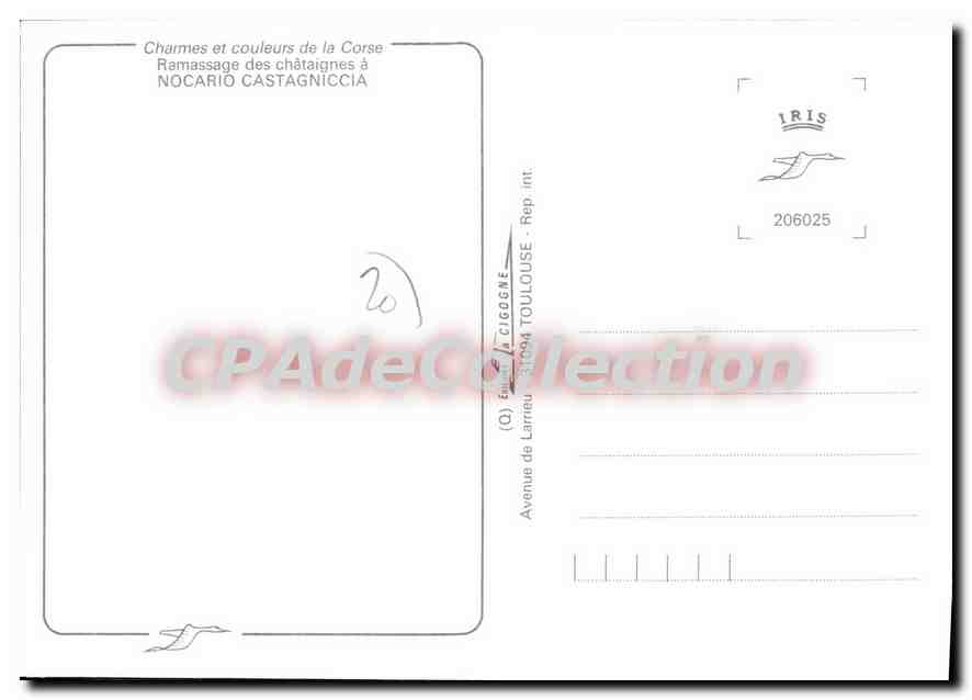 Ramassage des châtaignes à Nocariò Castagniccia — Corse — édition IRIS — Verso