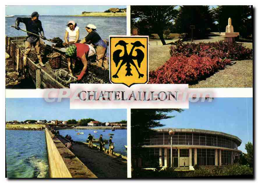CPSM Chatelaillon Scene Ostreicole boucholeurs