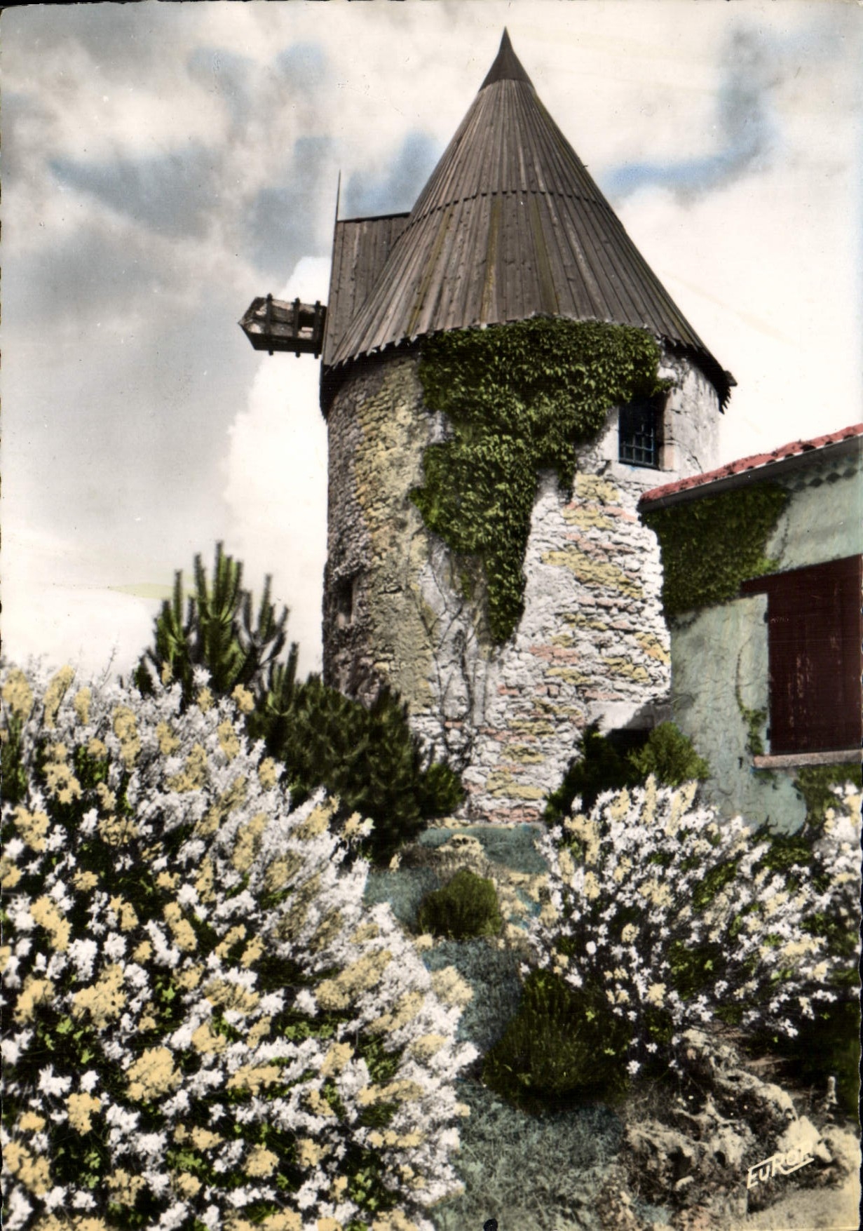 CPSM Meschers Gironde Le Vieux Moulin