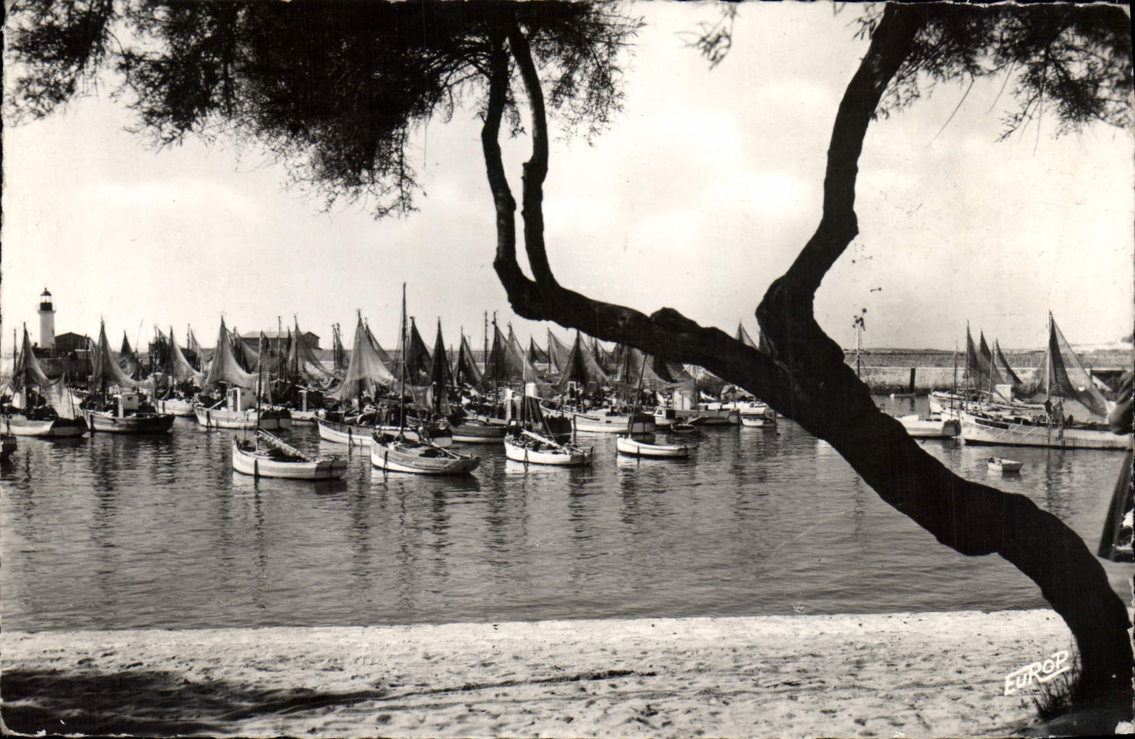 Le Port de la Cotinière — Ile d'Oleron — Édition de l'Europe, série 710