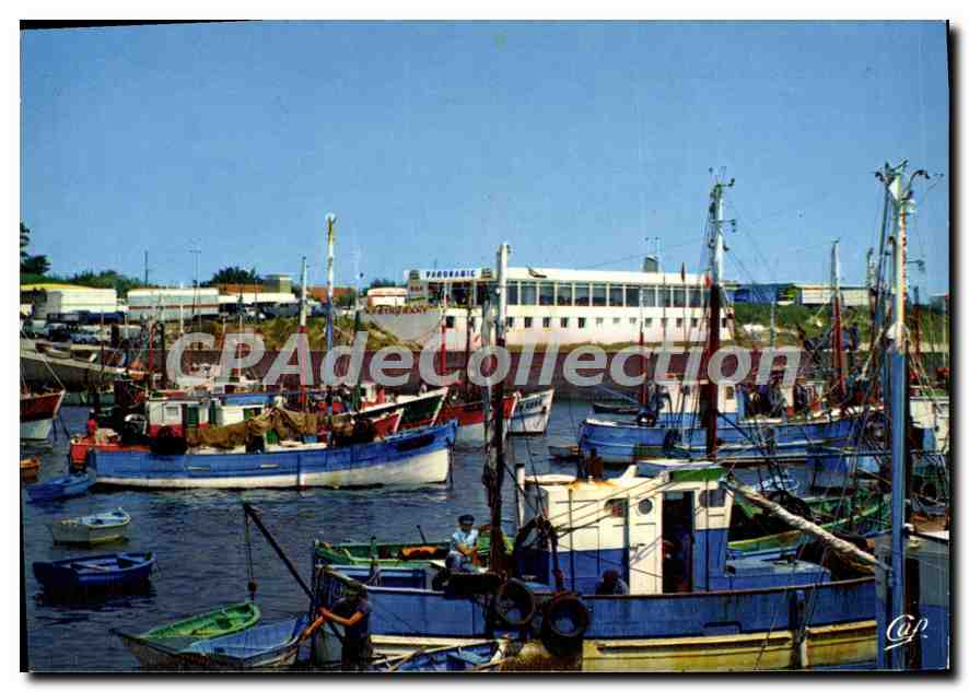 CPSM La Cotiniere Ile D'Oleron Le Panoramic Et Le Port