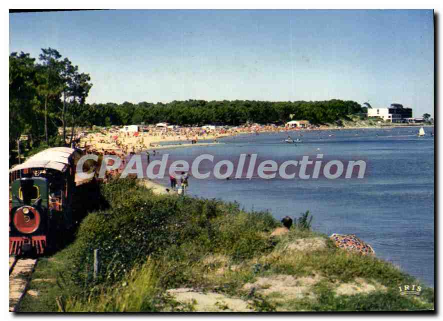 Saint-Trojan-les-Bains — Plage de Gatseau et petit train — Éditions IRIS