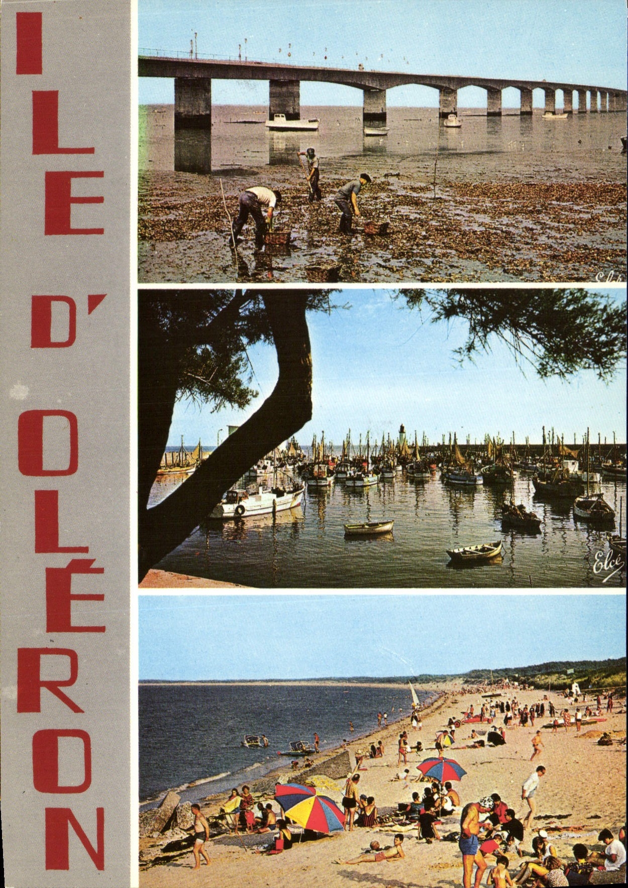 Ile d'Oléron — vue panoramique — Élécolor