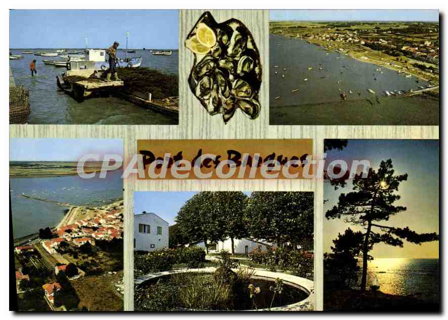 Port des Barques — Vue générale, Le Port, Le Jardin Public, Coucher de soleil sur l'océan — Editions Modèles « Théojac »