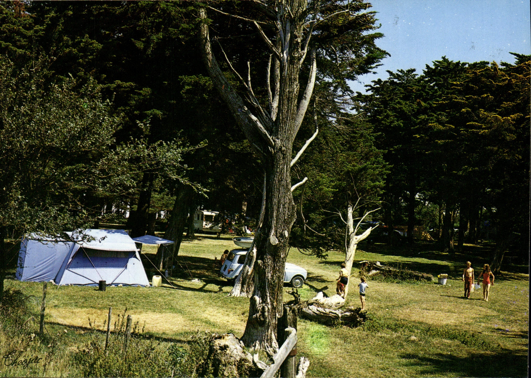 CPSM Port Des Barques Le Camping De I'Ile Madame