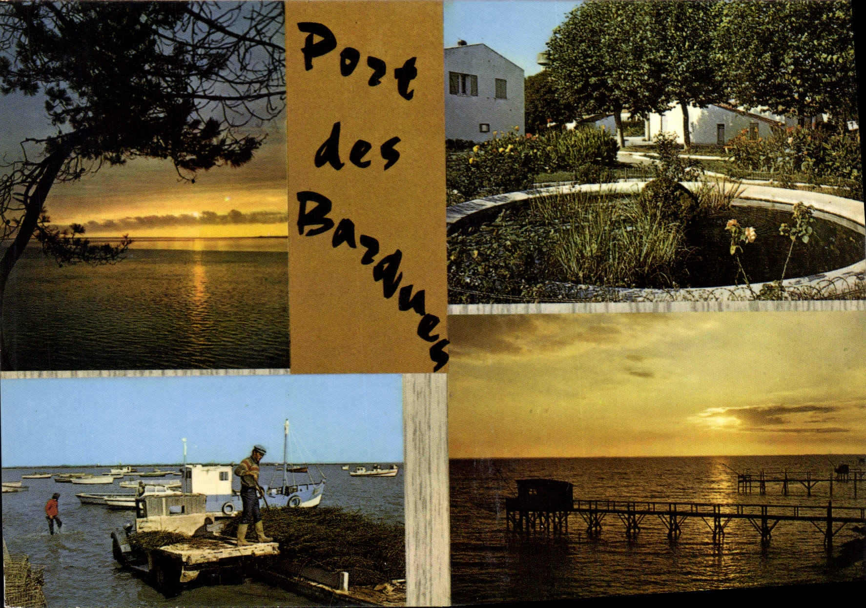 CPSM Port Des Barques Coucher De Soleil Sur La Cote jardin public port