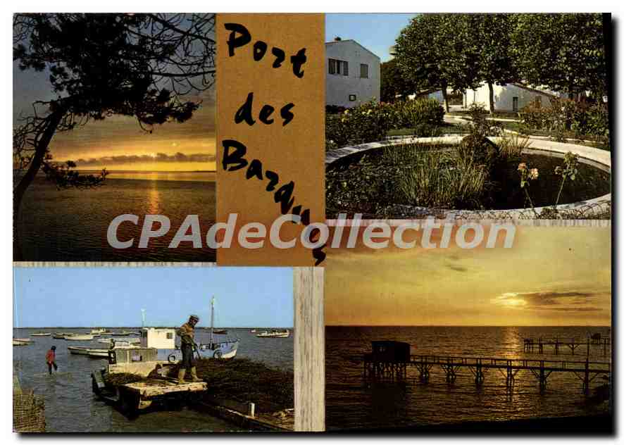 CPSM Port Des Barques Coucher De Soleil Sur La Cote jardin public port