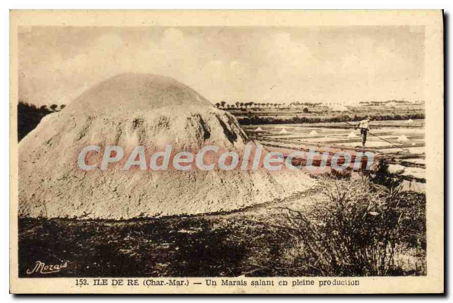 Ile de Ré (Char-Mar.) — Un Marais salant en pleine production — Morais, n°153