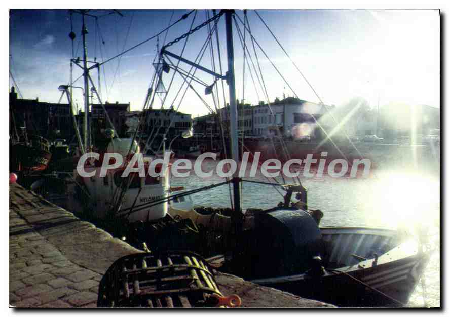 La Flotte-en-Ré — Rayons de soleil sur le port — Photo A. TROULÉ
