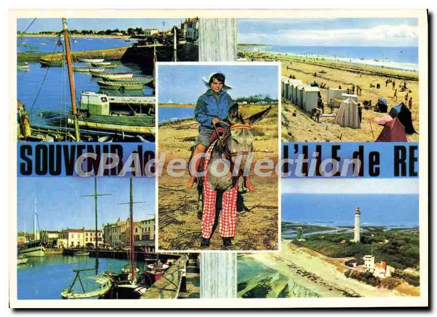 CPSM Ile De Re Rivedoux Le Bois Plage Saint Martin Le Phare Des Baleines