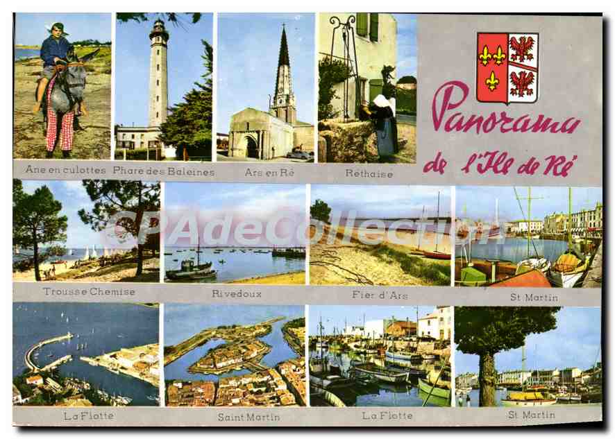 CPSM Panorama De I'Ile De Re