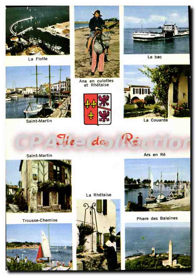 CPSM I'Ile De Re C'Est Une Terre Plate Et Basse