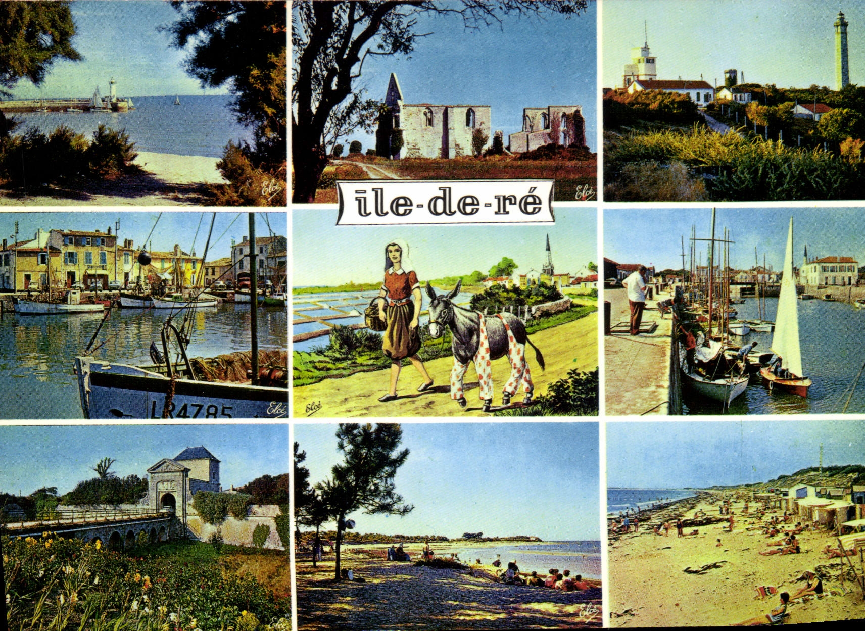 Île-de-Ré — vue panoramique — Élécolor