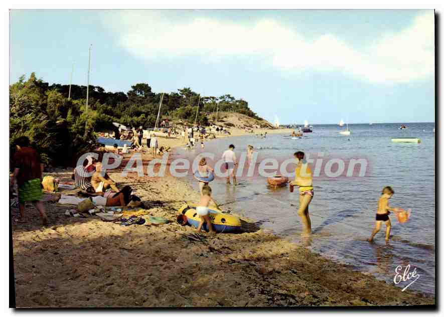 Plage de Trousse-Chemise — Ile de Ré (17) — Élécé