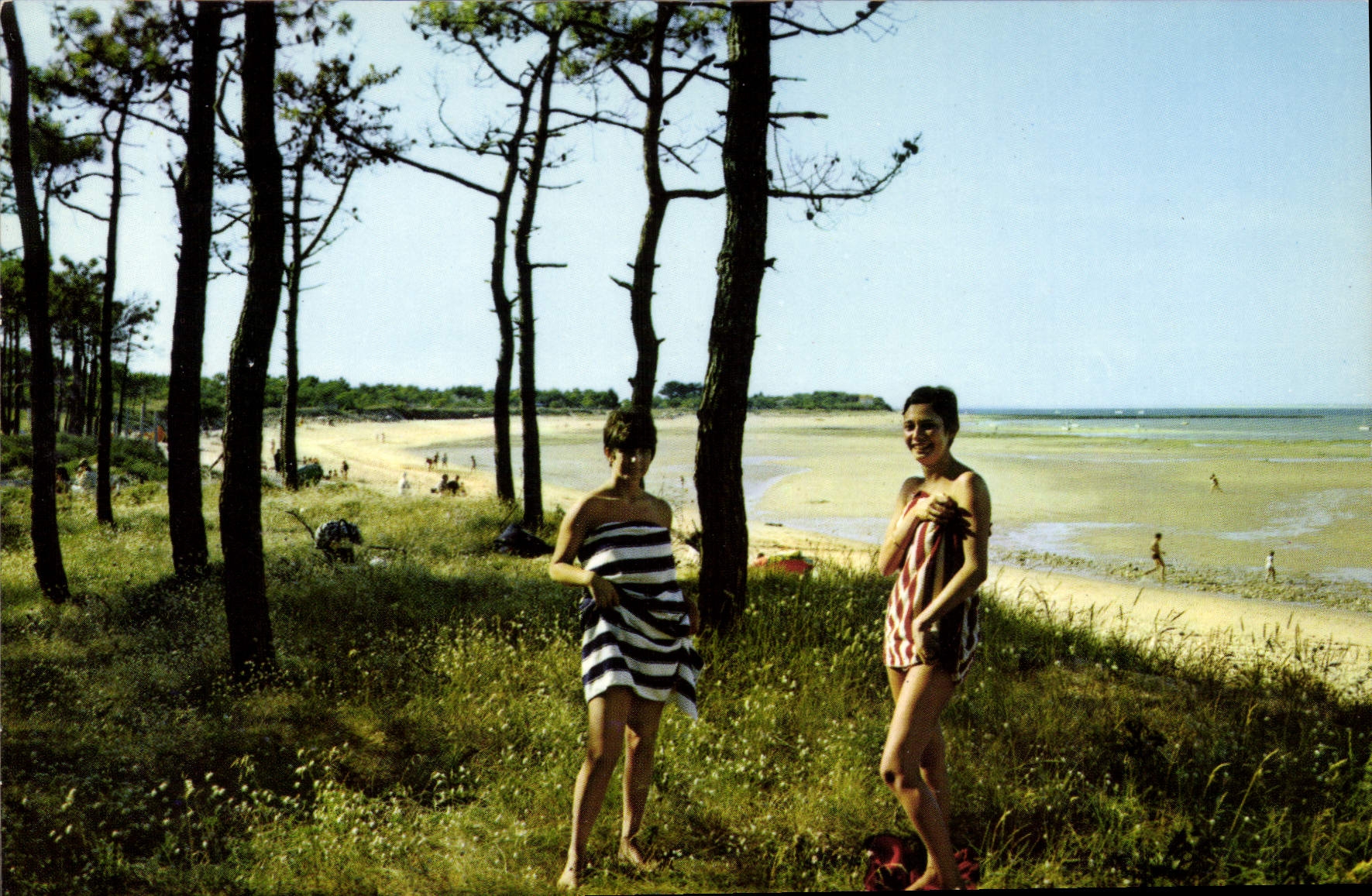 Ile de Ré — Le bois de Trousse Chemise — Elnacap