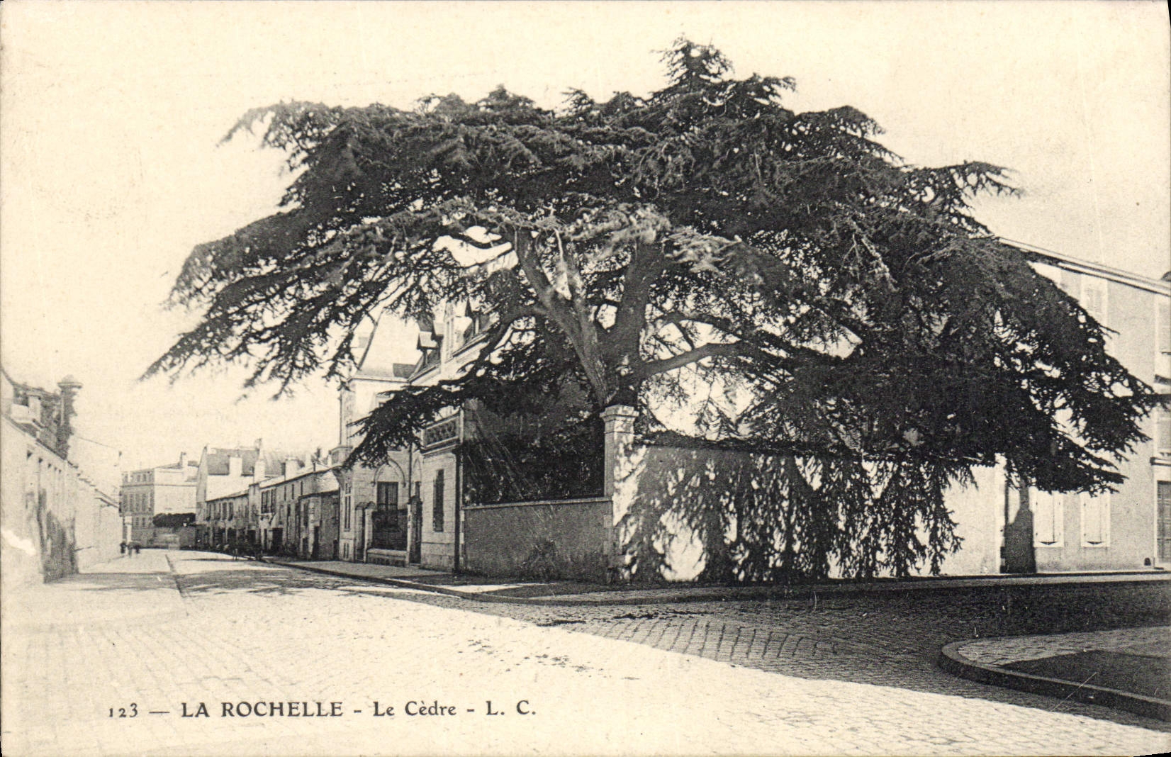 La Rochelle — Le Cèdre — L. C. — n°123