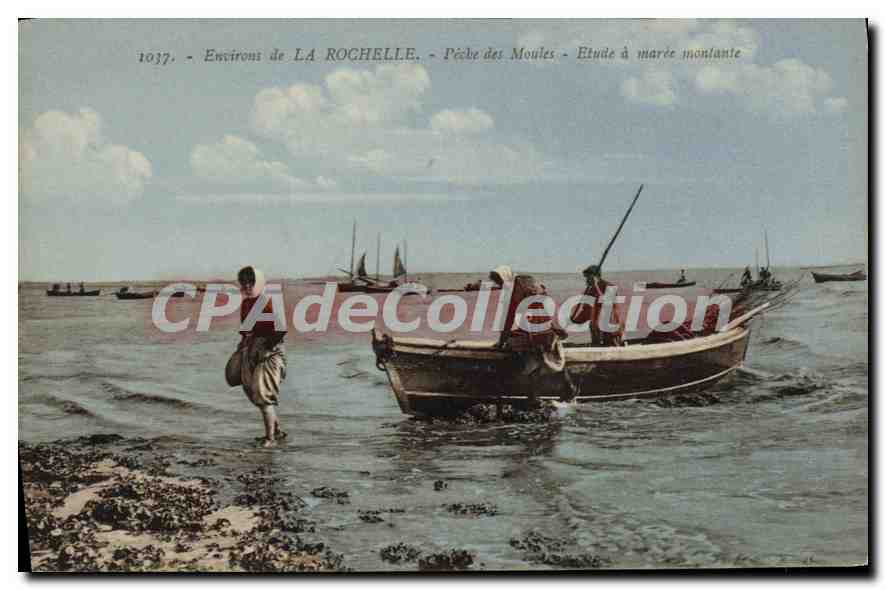 CPA La Rochelle Peche Des Moules Etude