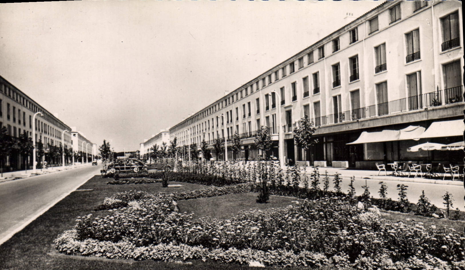 Royan — Cours Albrion — Mastifs de Fleurs — M. Berjaud
