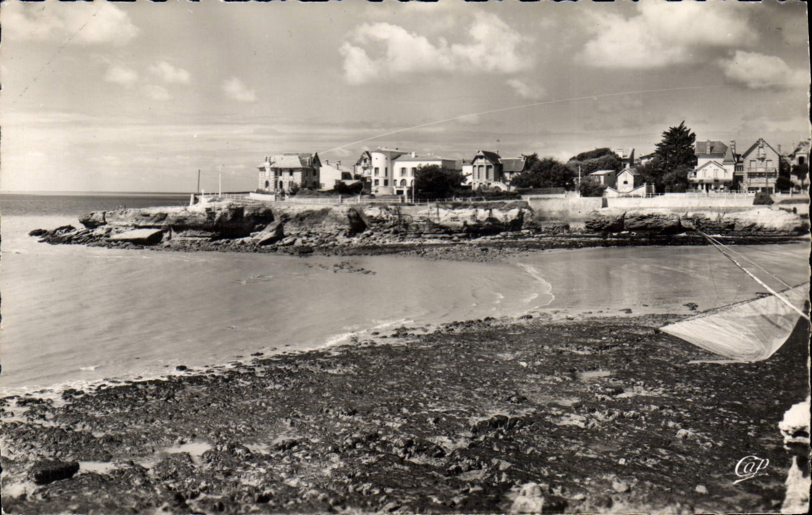 Royan - La Pointe du Chay — vue de la côte avec maisons sur falaise — C.A.P. (55)