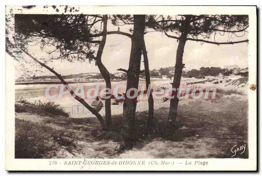 Saint-Georges-de-Diddonne (Ch-Mar) — La Plage — Édition Gaby, n°216
