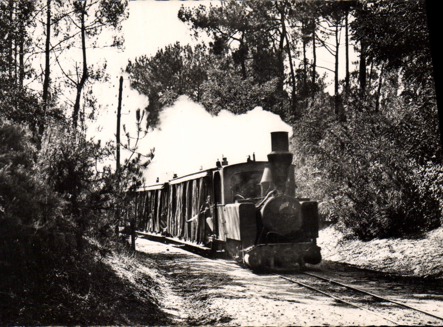 Saint-Palais-sur-Mer — Le Train en Forêt — éditeur 'Le Train en Forêt' n°99