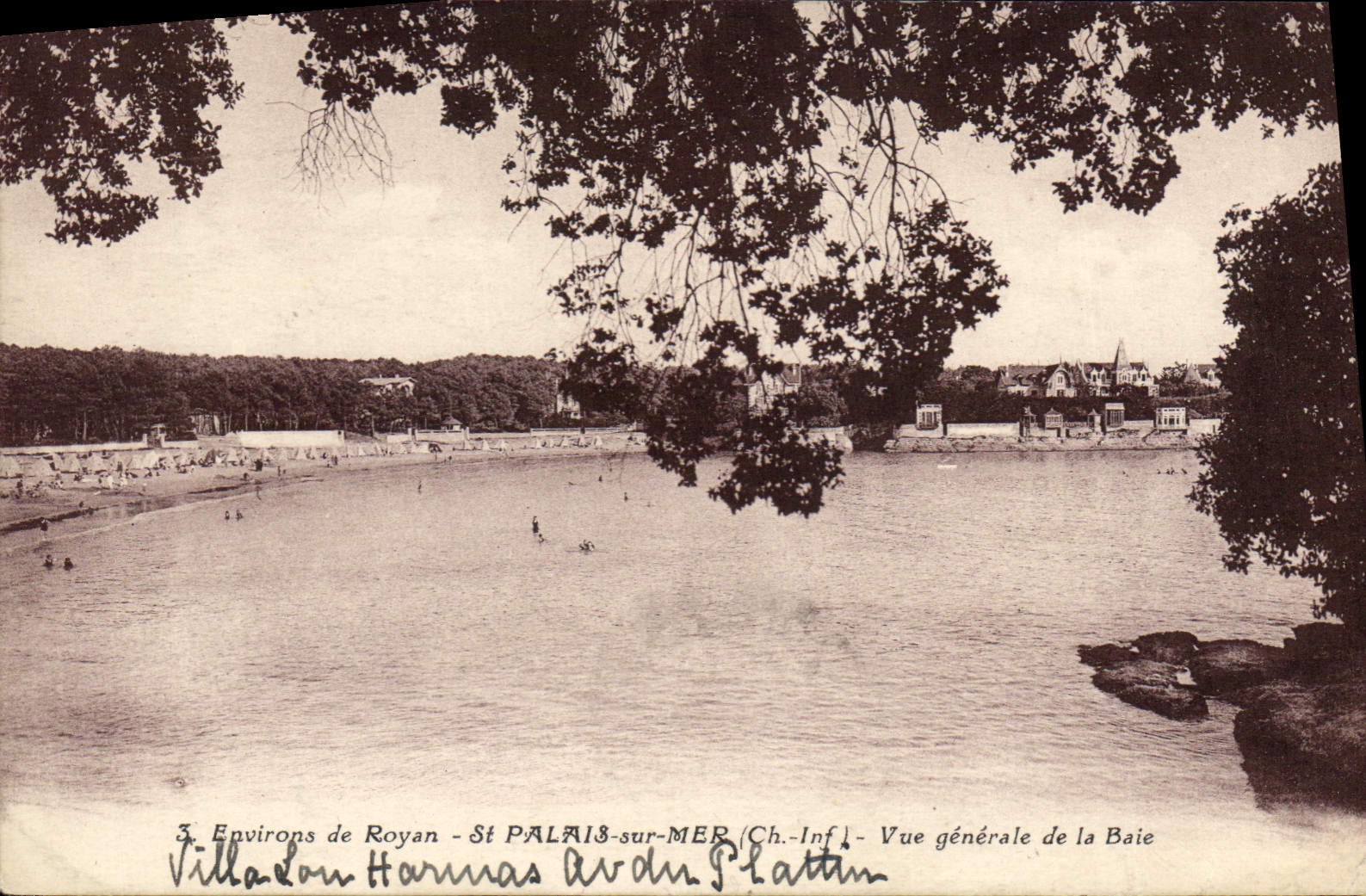 Environs de Royan - St PALAIS-sur-MER (Ch.-Inf.) - Vue générale de la Baie