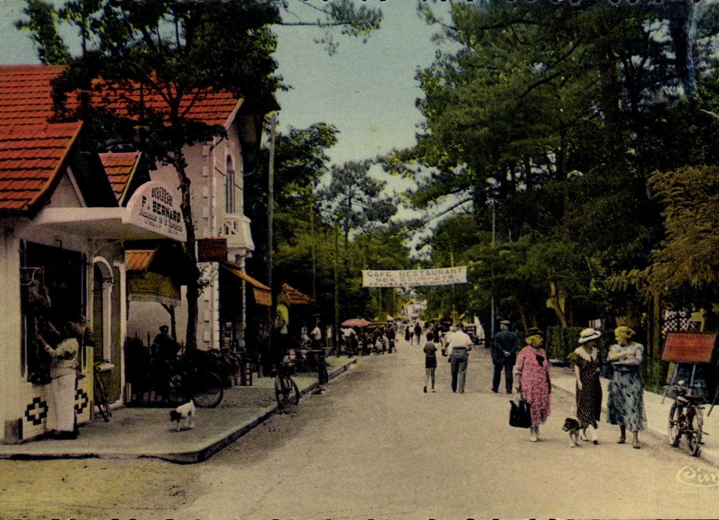 CPA Ronce Les Bains Avenue Gabrielle